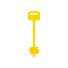 Illustration of Flat key logo isolated on white background