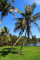 Fototapeta premium Laguna del Tesoro- Cuba
