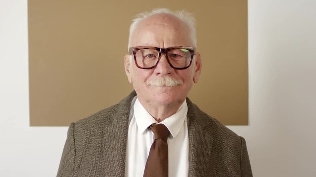 Portrait shot of cheerful senior man wearing tweed jacket, necktie and glasses standing against white and brown background and smiling white looking at camera