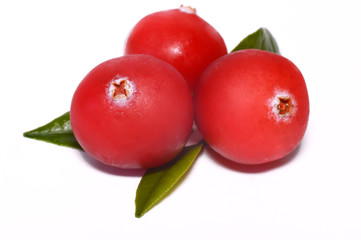Cranberry berry on a white background close-up.