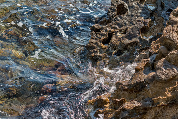 Coast of the Adriatic Sea