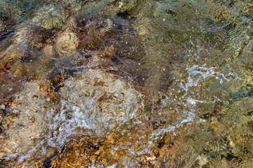Coast of the Adriatic Sea