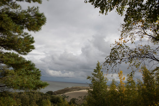 Overcast Bay View Through Green Trees with Dramatic Cloudscape