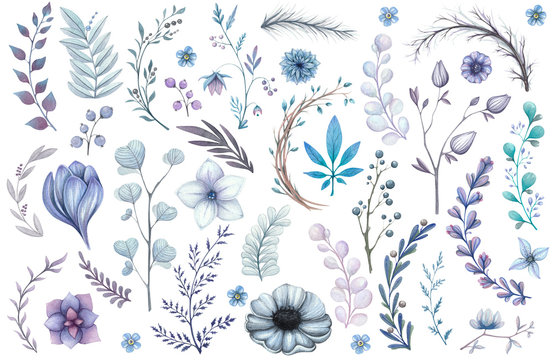 big watercolor set of branches, leaves, flowers in blue and violet colors isolated on white