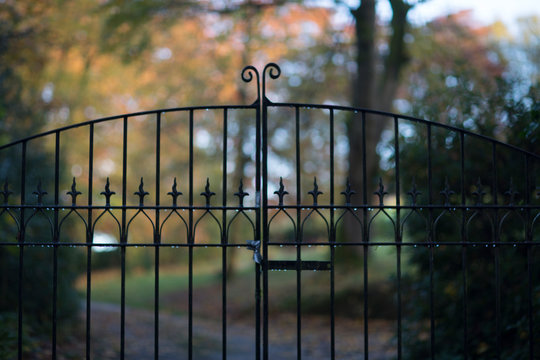Elegant Black Metal Gate with Autumn Foliage in Soft Focus