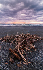 A Pile of Driftwood at a Beach, Trinidad, California