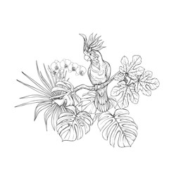 A composition of tropical plants, palm leaves © Elen  Lane
