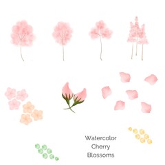 Obraz premium watercolor cherry blossoms, pink, white background