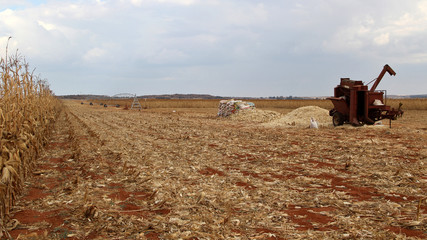 Fototapeta premium Agriculture