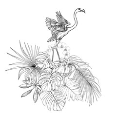 Fototapeta premium A composition of tropical plants, palm leaves