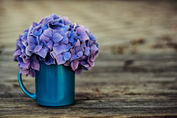 Hortensia Flowers
