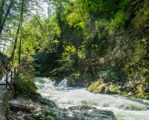 Large panoramic view of raging river at Vintgar Gorge canyon. Slovenia