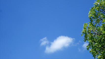 clear blue sky background