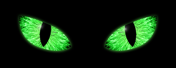Bright green eyes with vertical pupils © oxinoxi