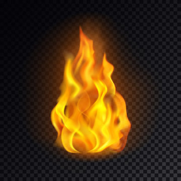 Fire isolated on transparent background.