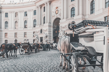 Vienna "Fiaker", horse drawn carriage in front of Imperial Palace - Hofburg