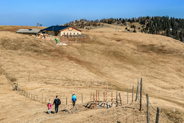 Hiking trail on a high plateau near Puchberg am Schneeberg