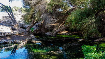 Road Trip in South America, Exploring a Natural Spring outside Nazca in Peru