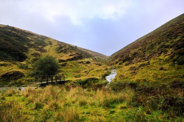 Isolated wooden footbridge over a river on Exmoor, Somerset, UK