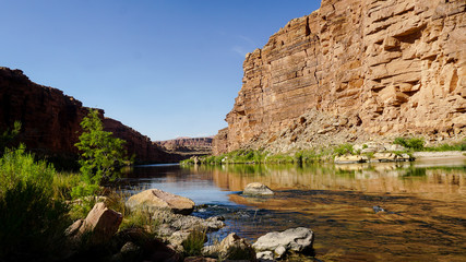 Fototapeta premium The Colorado River at the end of the Marble Canyon Trail outside the Grand Canyon in Arizona