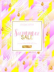 Summer sale sign. Background with tropical palm leaves