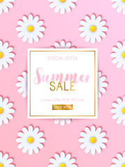 Summer sale background with daisy flowers