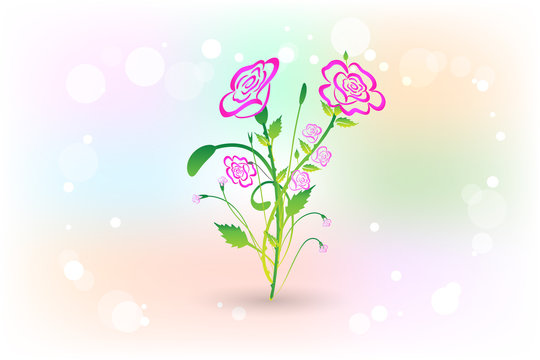 Flowers pink roses vector design