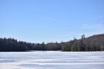winter landscape with trees and snow