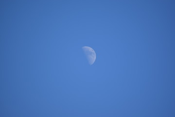 moon in the sky