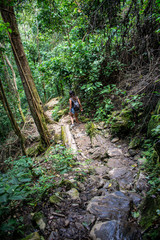 Young woman walking on a foraest path in a lush jungle scenario