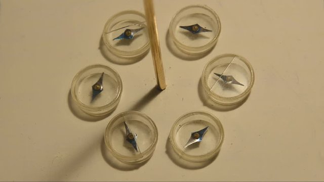 Magnetic field around a conductor. The compass needles align to the field generated by the current, rather than the geomagnetic poles. The current direction is changed, and the needles turn around.  