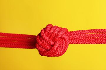 Red rope with knot on color background