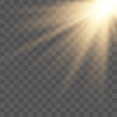 Fototapeta premium Sunlight lens flare