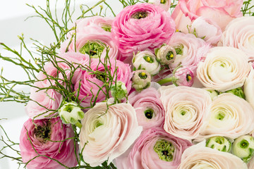 Persian buttercup. Bunch pale pink ranunculus flowers light background. Wallpaper, Horizontal photo 