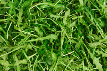 Fresh leaves of arugula as background.