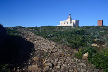 Fototapeta na wymiar Faro di Capo San Marco