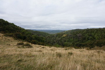Muelle de Las Almas - Chiloé Island - Chile