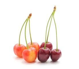 Red ripe cherries.