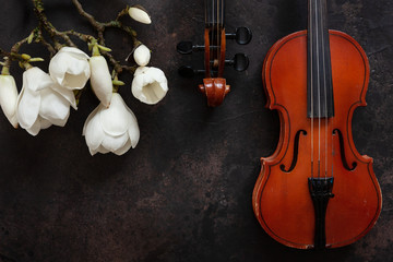 Two Old violins and blossoming magnolia brances. Top view, close-up on dark vintage background