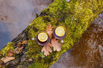 Red tea with lemon in a glass mug on the nature. On a tree with moss over a river.