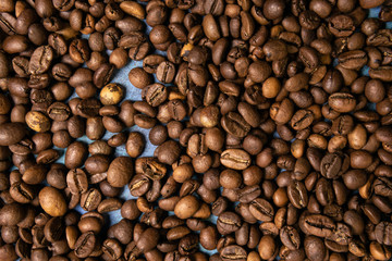 Roasted coffee beans in bulk on a blue background