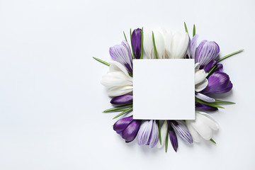 Beautiful spring crocus flowers and card on light background, top view with space for text