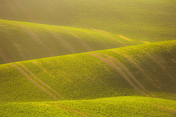 Wavy  autumn fields in Moravian Tuscany, Czech Republic