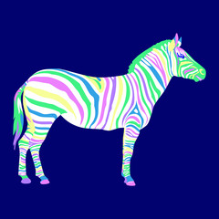 Fototapeta na wymiar colorful fairy-tale zebra vector illustrationon on blue background