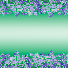 Blossoming lilac  on cards. Spring lilac. Lilac branch  flower drawing, illustration.