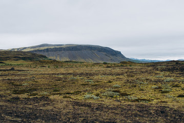 Groundwater field with green grass and mountain views.