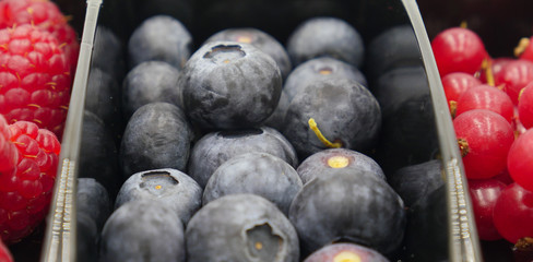 Blueberries closeup within a casserole
