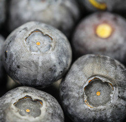 Blueberries macro photography