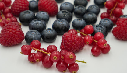Red currant, raspberries and blue berries