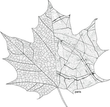 Leaf city concept. Maple leaf shaped map of Paris city.